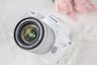 时尚精致的EOS 200D II 迷你单反的初镜头体验